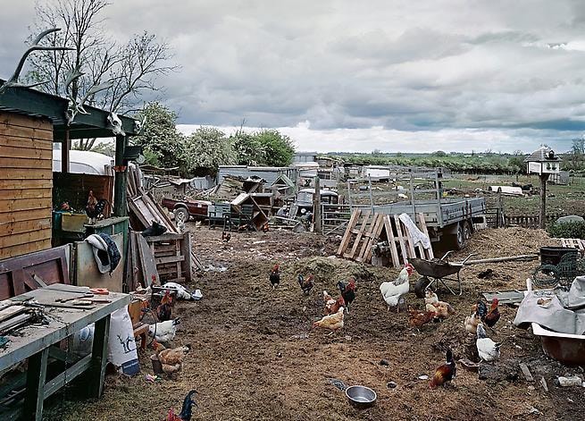Thomas Bangsted. Pear Tree Farm, 2005.