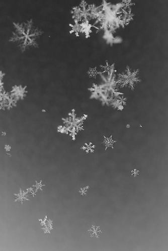 Yuji Obata. Homage #6.  23.5 x 16.5 inch pigment print.