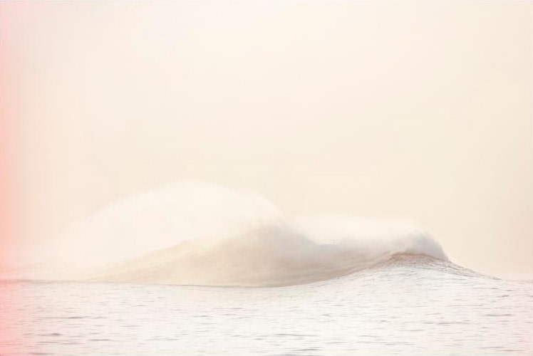 Will Adler, Tahiti, 2009