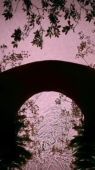 Wild Garlic Bridge, 2013 , 	30" x 17" 