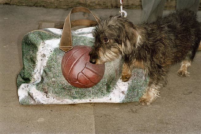 Advert (Paul Smith bag and pup), 2005