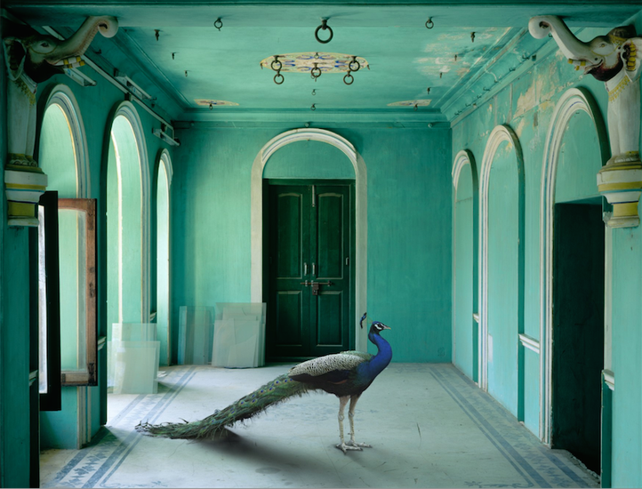 The Queen's Room, Zanana Palace, Udaipur, 2011, 	48 x 60 inch archival pigment print