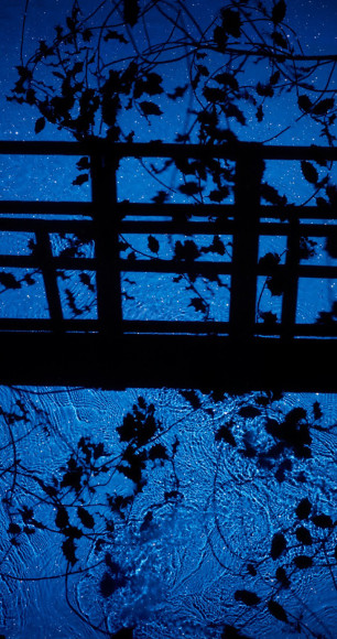 Holly Bridge, 2013, 64 x 34 inch digital c-print