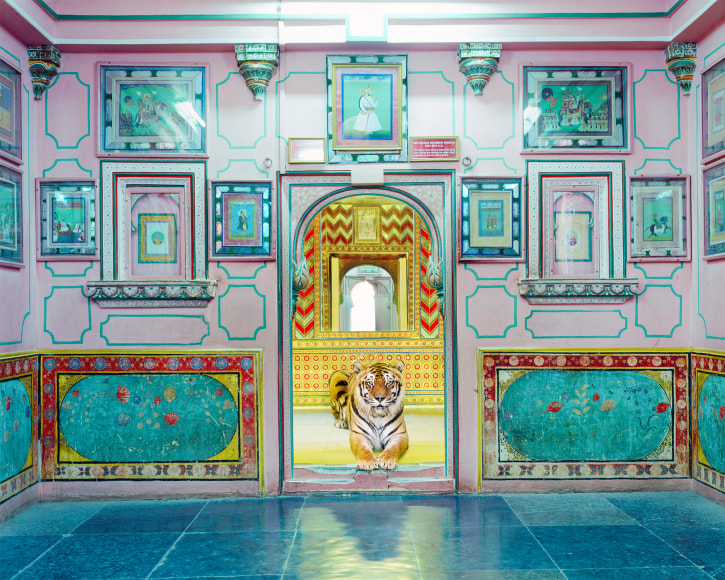 Interloper, Sheesh Mahal, Udaipur City Palace, 2019, Archival pigment print
