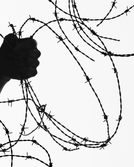 Matthew Porter, Barbed Wire, 2020