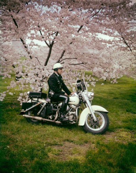 Springtime, Washington D.C. 1965, 20 x 16 inch dye transfer print