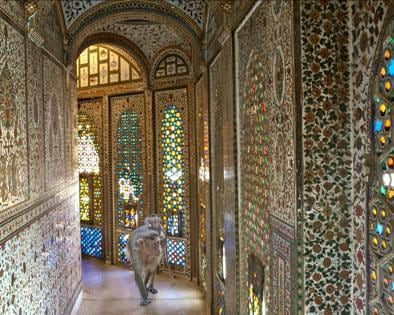 Karen Knorr. Asylum.