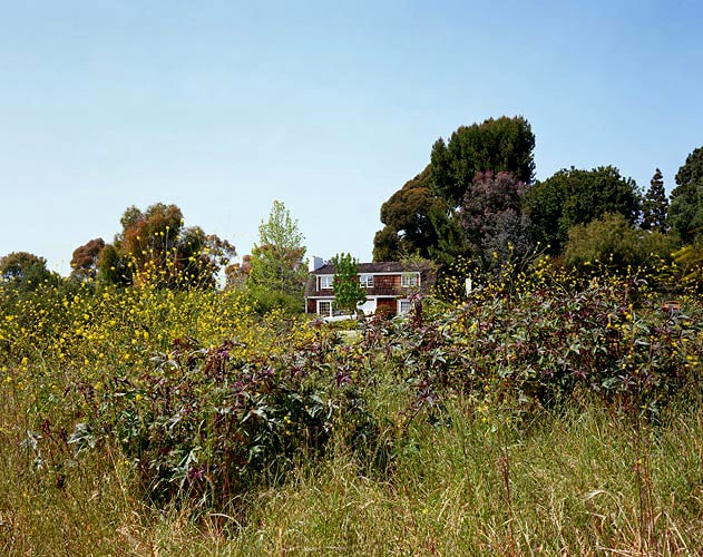 Untitled (#6), 1998
