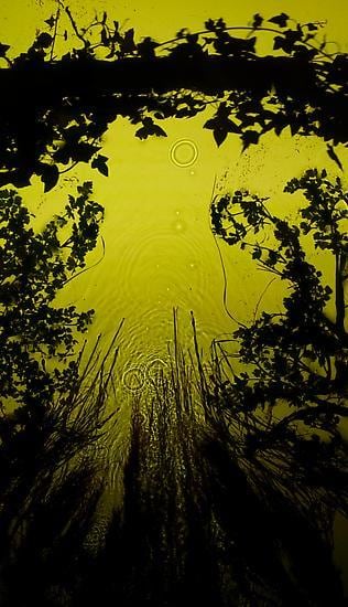 Ivy Bridge 2, 2013 , 	30" x 17" 