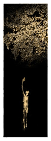 Mukayu, 2019&nbsp;, 15.4 x 11 inches