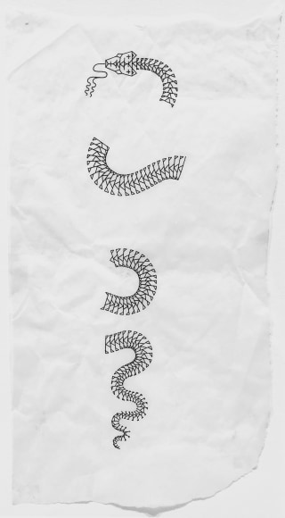 SCOTT CAMPBELL, Tattoo Sketch