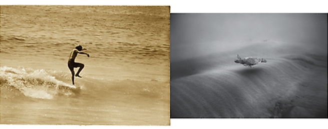 Steve Wilkings/Wayne Levin , 	24 x 28.5 inch pigment print 