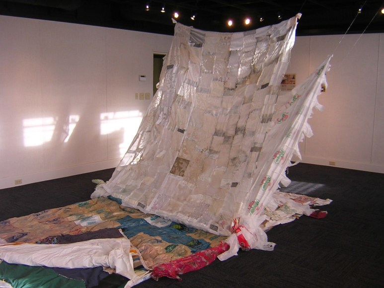 Jessie Dunahoo Sheltered Environment,&nbsp;2010&nbsp;