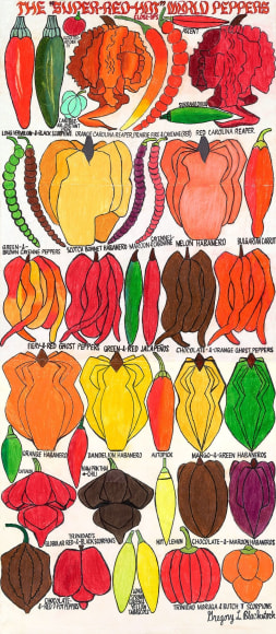 Greogry Blackstock The Super Red Hot World Peppers &ndash; Close Ups, 2014