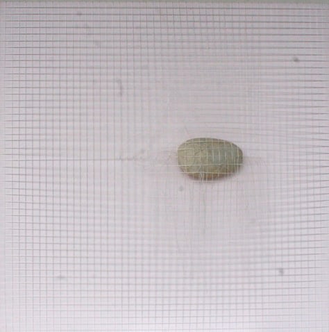 Milton-Becerra-Par&iacute;s-Bogot&aacute;