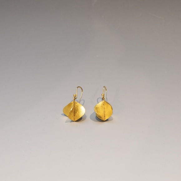 Petra Class, Gold Propeller Earrings