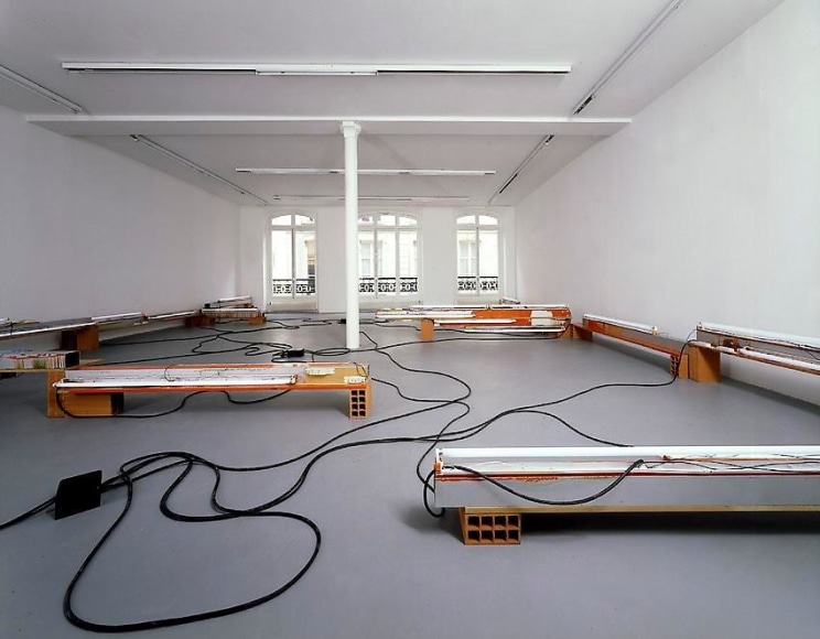 Pedro Cabrita Reis – installation view 15