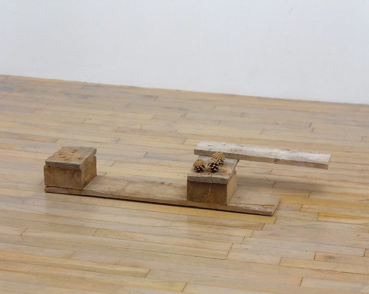 Ballou 2006 pallet wood, pine cones