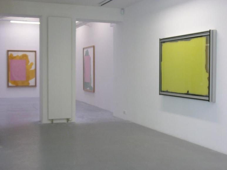 Pedro Cabrita Reis – installation view 3