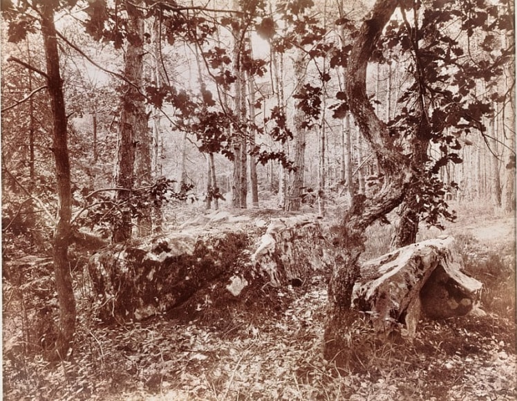 Eugѐne Atget Fontainebleau