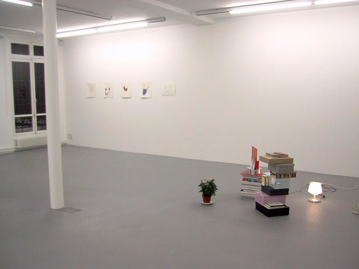 Anne-Marie Schneider and Didier Courbot – installation view 8