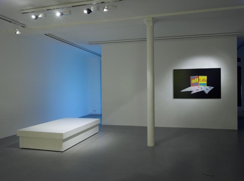 Guillaume Paris: Miracle, Mystery and Authority – installation view 2