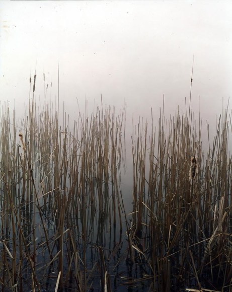 Sans titre 1999