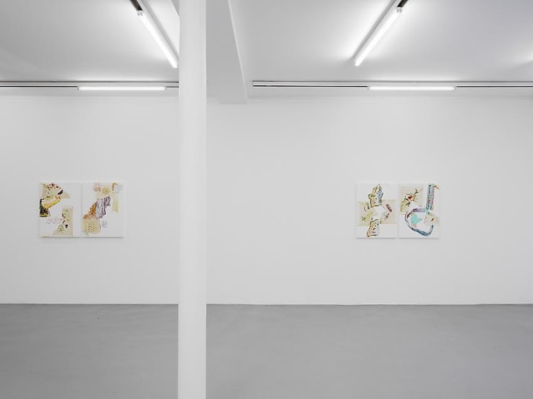 Pia Fries: Merian's Surinam – installation view 4