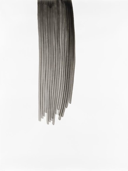 Silvia Bächli Untitled (part of the installation "das")