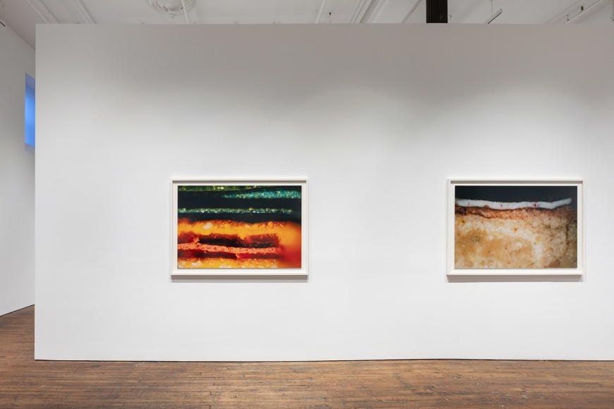 Primordial Soup, installation view