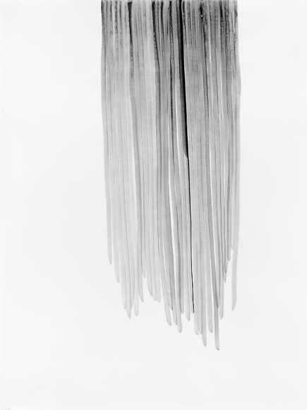 Silvia Bächli Untitled (part of the installation "das")