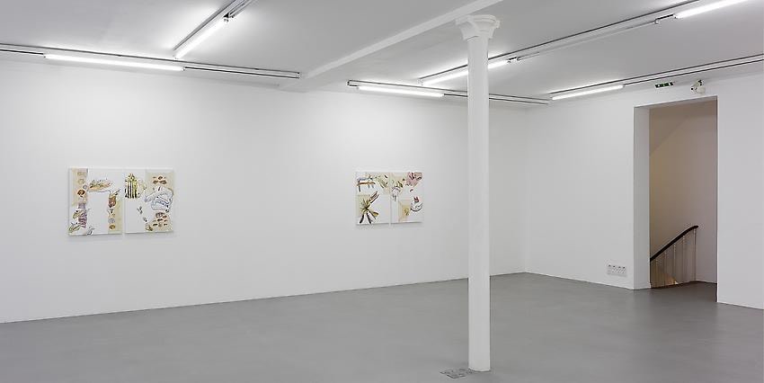 Pia Fries: Merian's Surinam – installation view 12