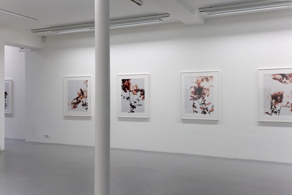 James Welling – installation view 4