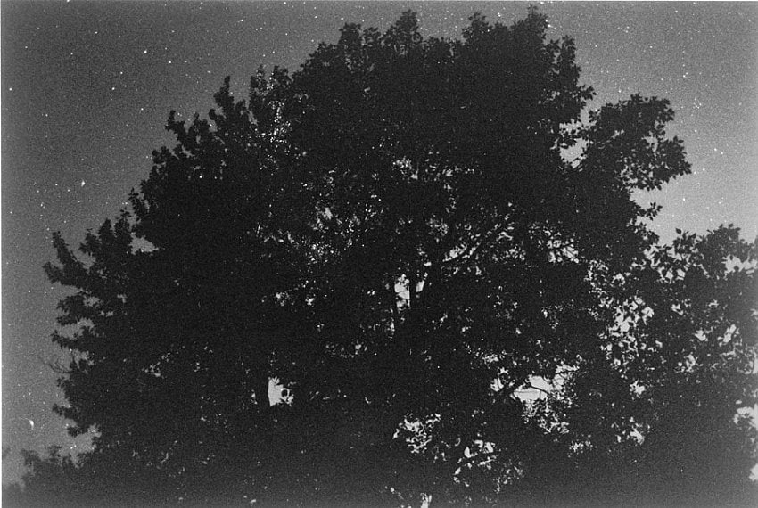 Robert Adams Pine Valley, Oregon