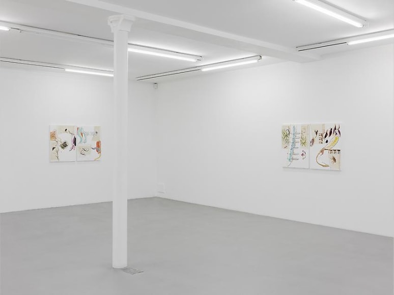 Pia Fries: Merian's Surinam – installation view 9