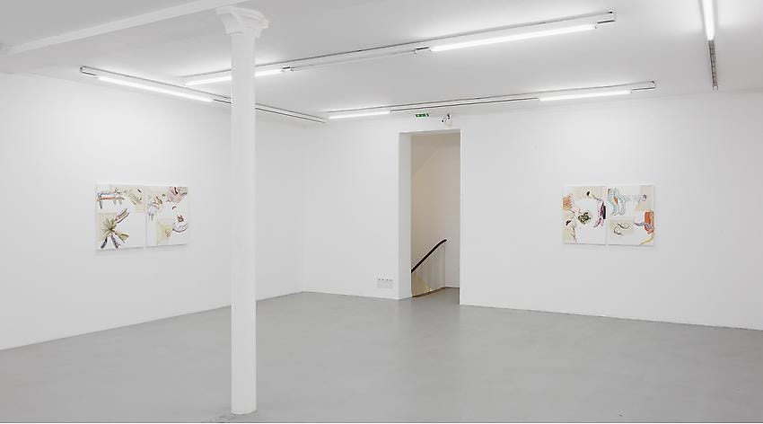Pia Fries: Merian's Surinam – installation view 11