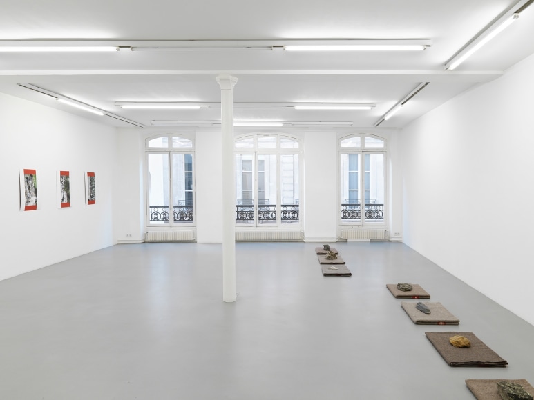 Helen Mirra: Conscience de pierre – installation view 1