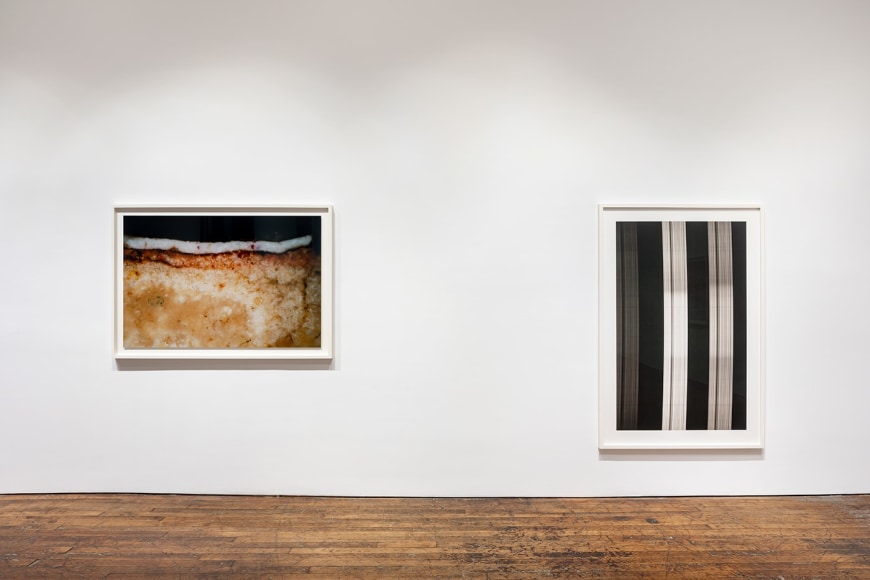 Primordial Soup, installation view