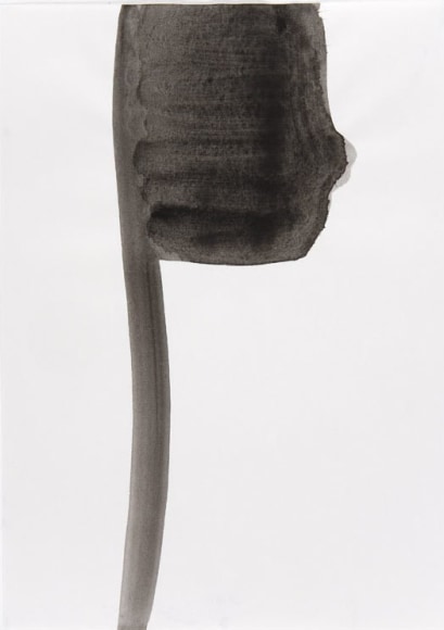 Silvia Bächli Untitled