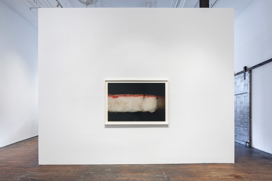 Primordial Soup, installation view