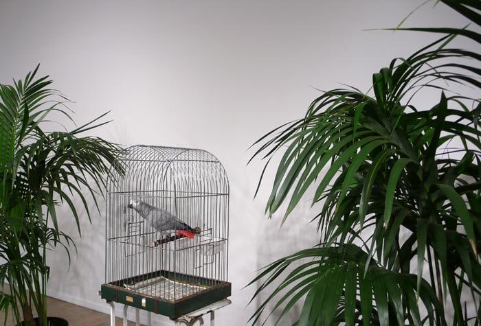 Marcel Broodthaers (1924 - 1976),
