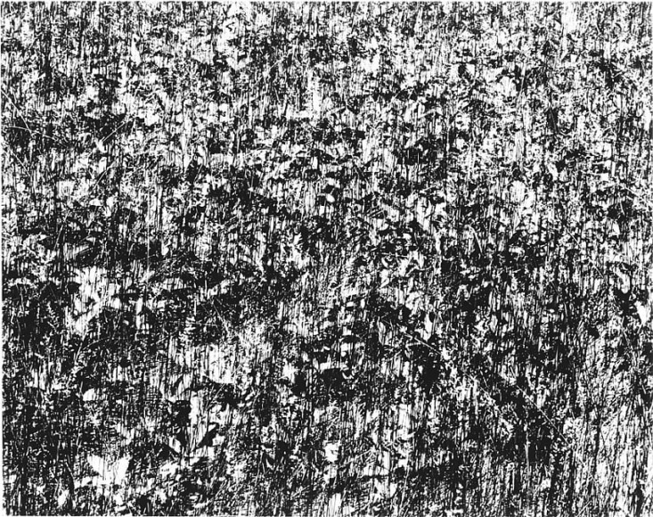Harry Callahan Port Huron, Michigan