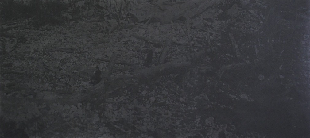 Dove Allouche, Nos lignes sous les obus toxiques_droite