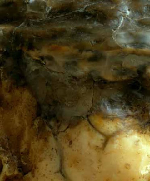 Medardo Rosso Carne altrui (detail 2)