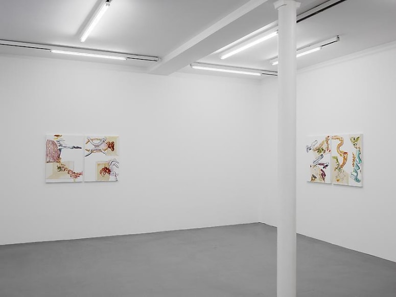 Pia Fries: Merian's Surinam – installation view 2