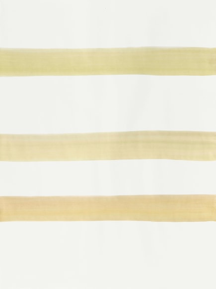 SILVIA BÄCHLI, Untitled