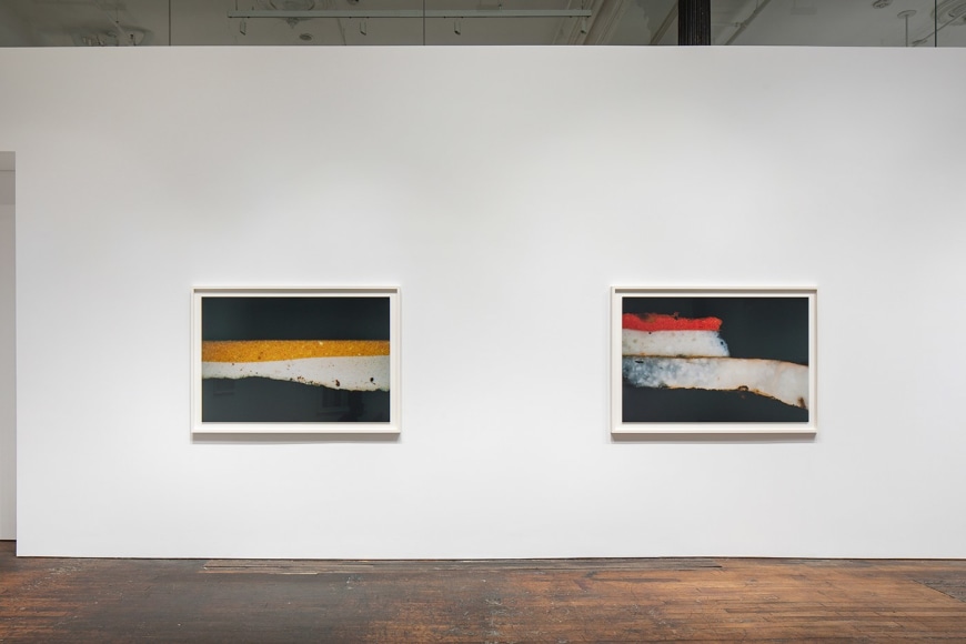 Primordial Soup, installation view