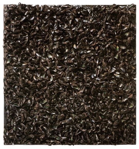 Macel Broodthaers (1924 - 1976),