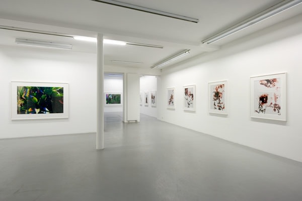James Welling – installation view 2