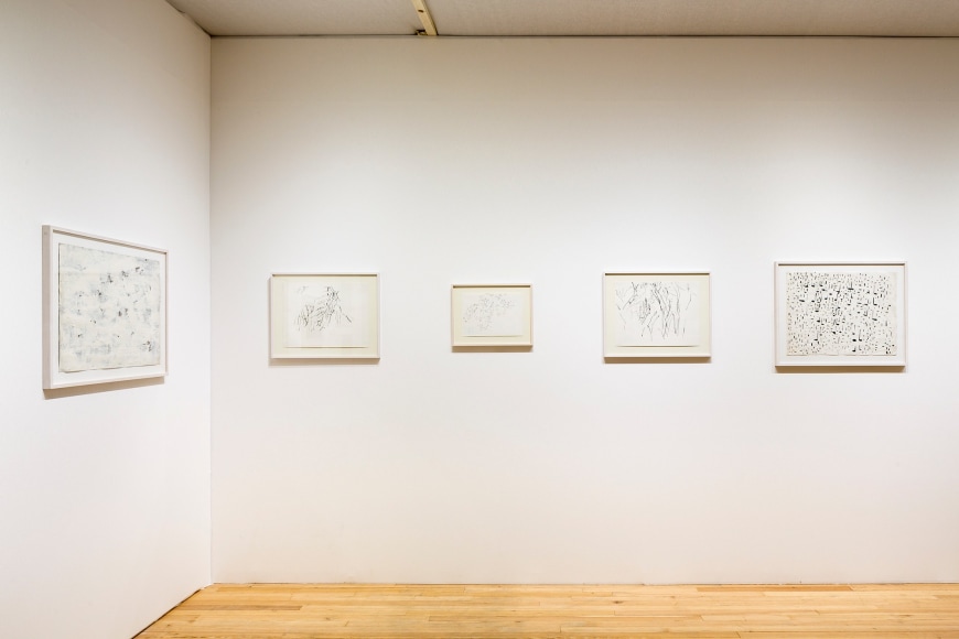 installation view 6